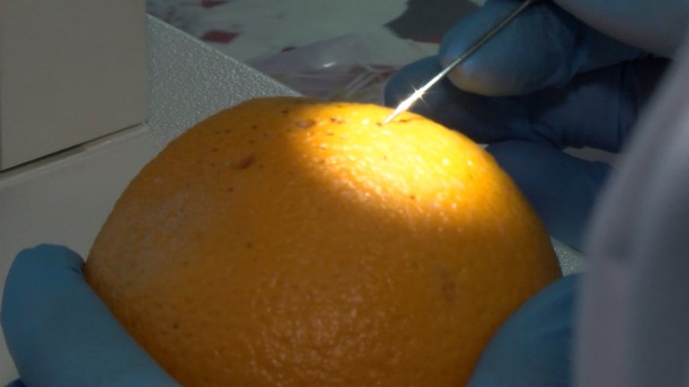 Некачественные продукты регулярно выявляют во время рейдов в Иркутской области